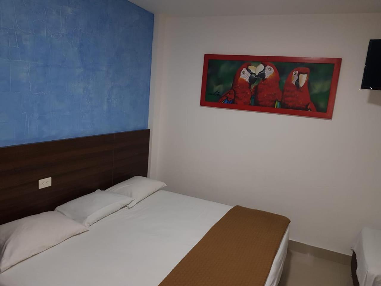 Zafara Hotel 24/50