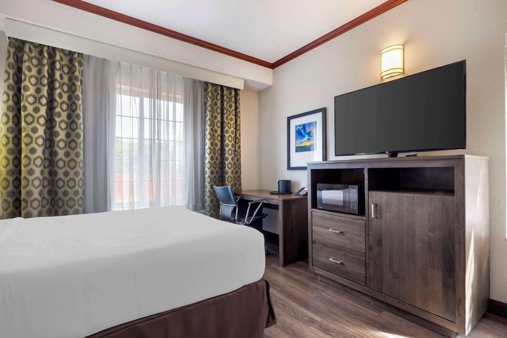 Standard, Queen Bed, Accessible