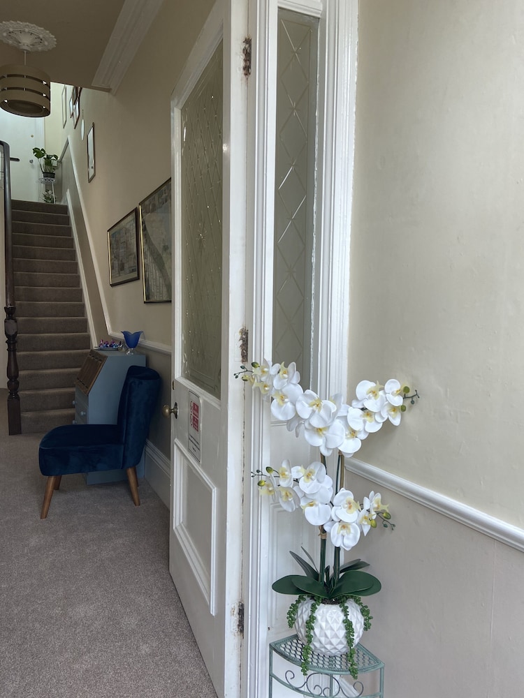 The Mountview 50/50