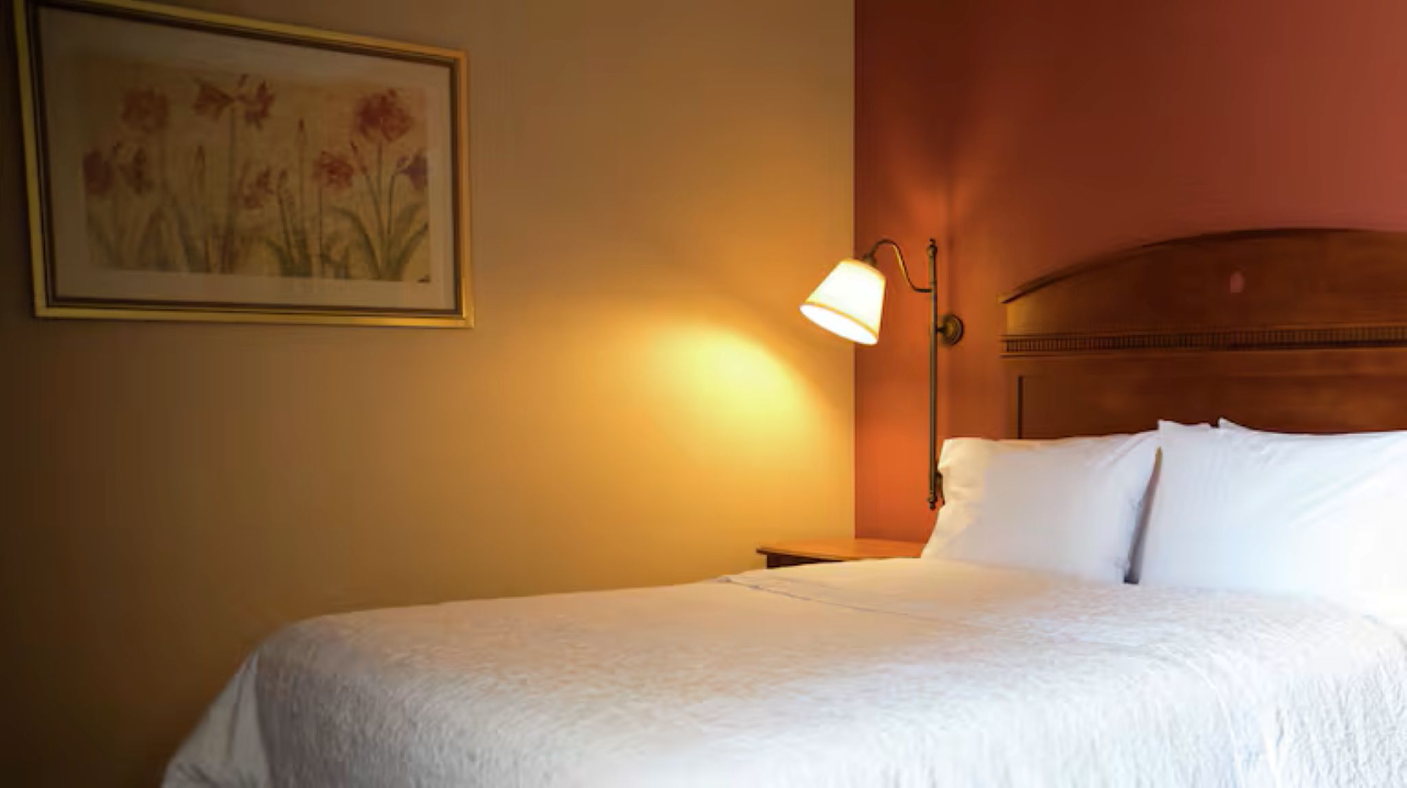 Room, King Bed, Accessible