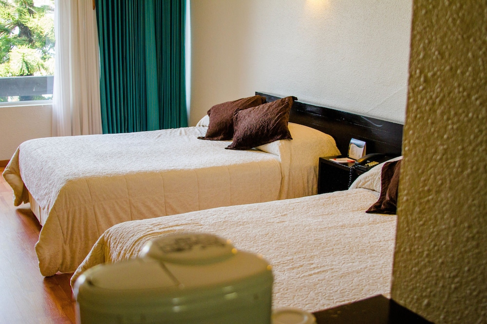 Gran Xalapa Hotel 13/41