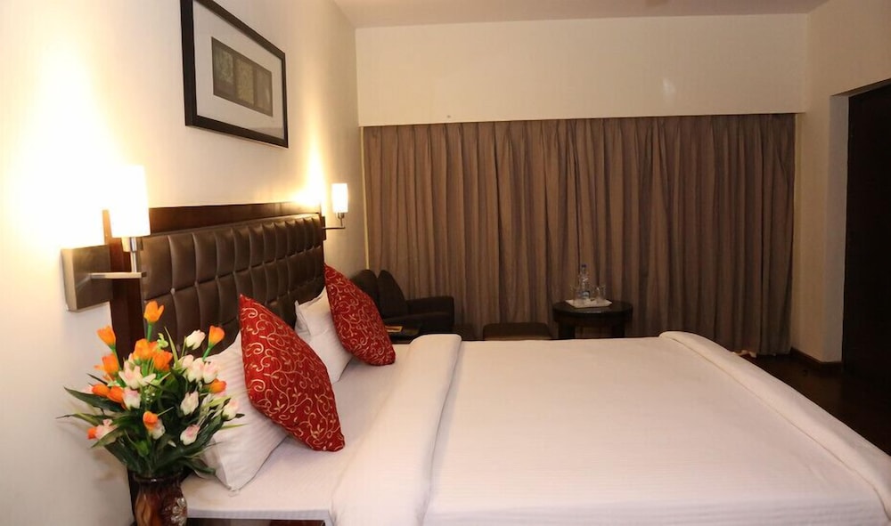 HOTEL ANAND REGENCY 9/12
