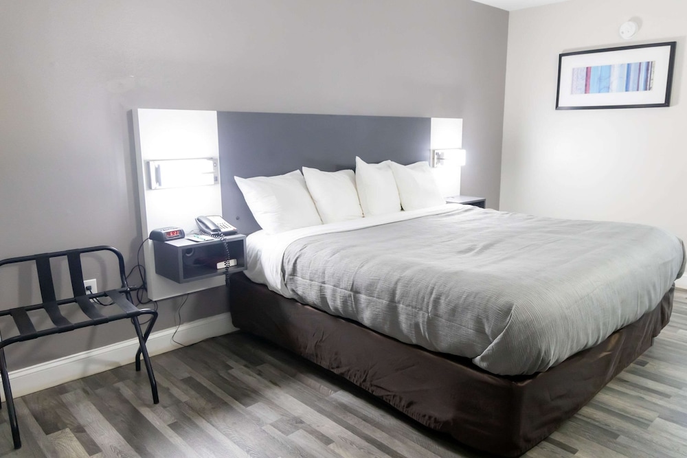 Room, King Bed, Accessible