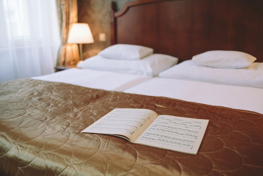 Mozart Hotel 17/29