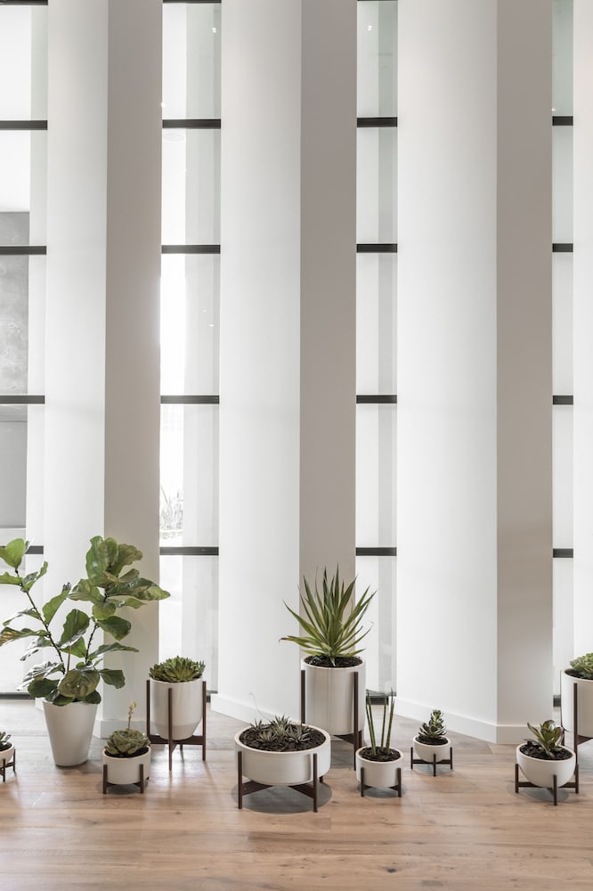 KIMPTON EVERLY HOTEL 19/80