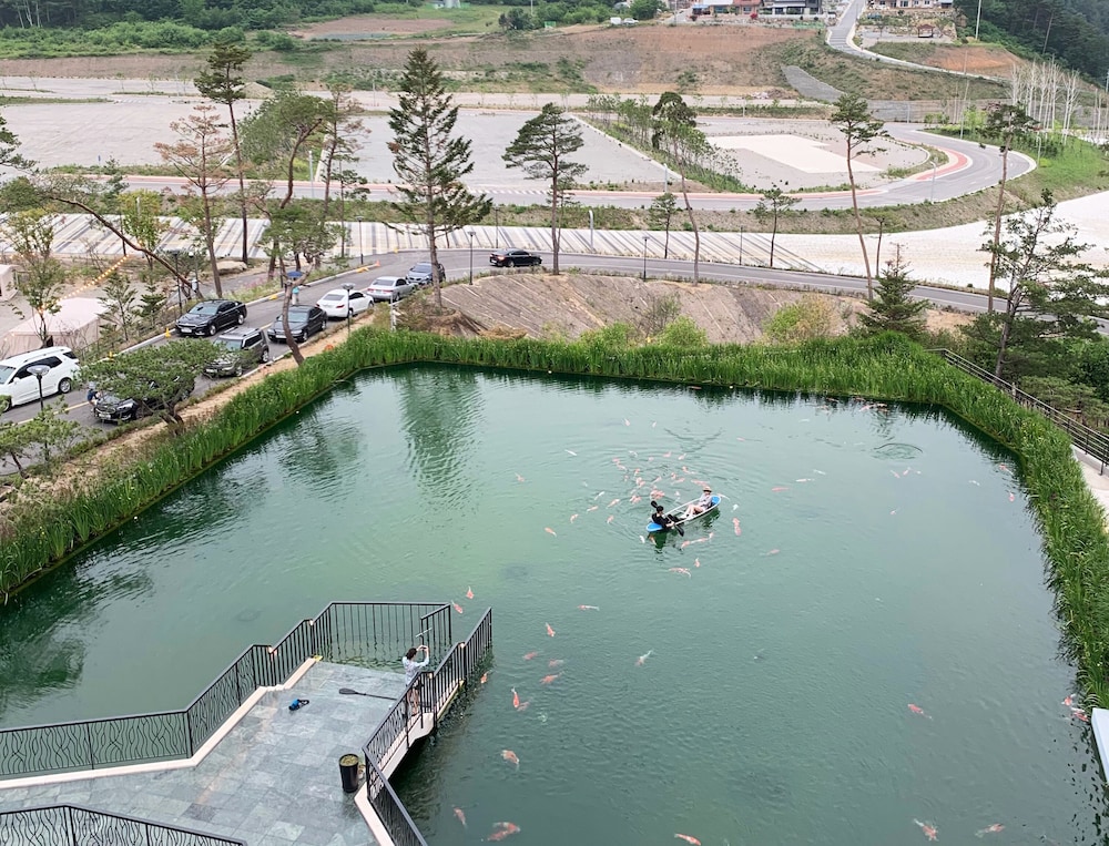 Pine Forest Jeongseon Alpine Resort 33/44