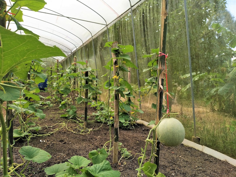 Somphoch Garden 39/50