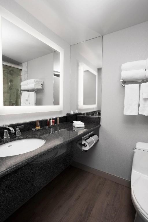 1 Bedroom, Bi Level, Loft, Suite, King Bed, Falls View, Sofa, High Floor، Niagara Falls Marriott on The Falls 3/3