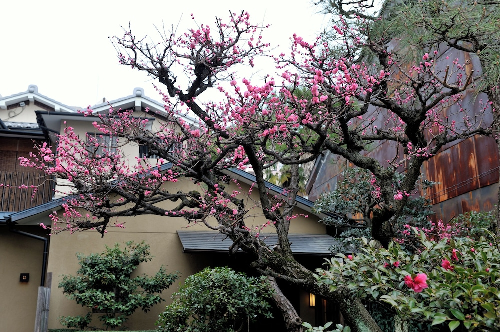 Yadoya Nishijinso 62/64