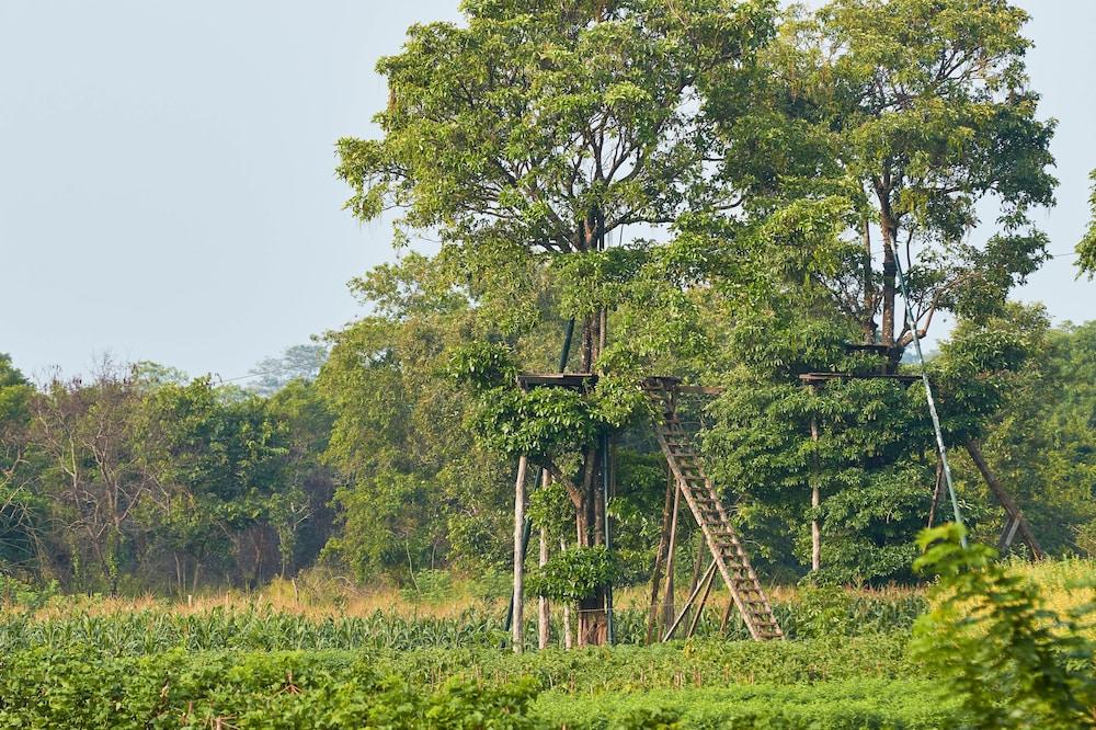 Amuna Ayurvedic Retreat 33/50