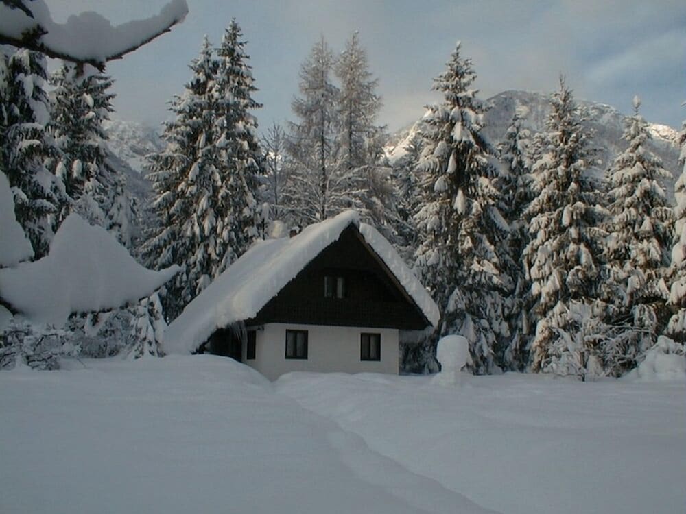 Apartmaji In Sobe Bohinjsko Jezero 5/31