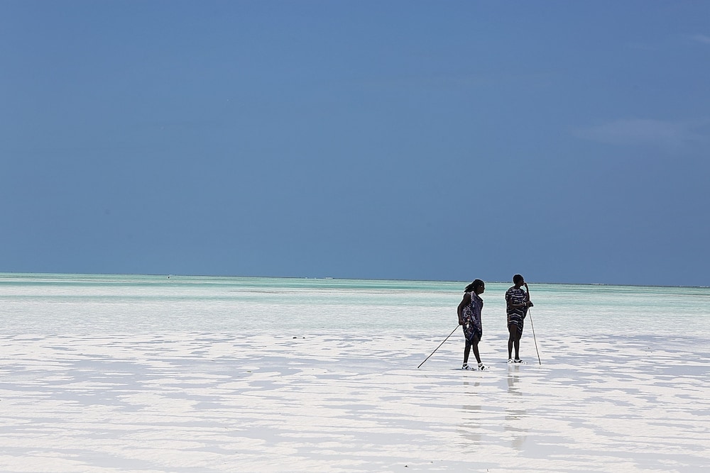Tulia Zanzibar Unique Beach Resort 58/65