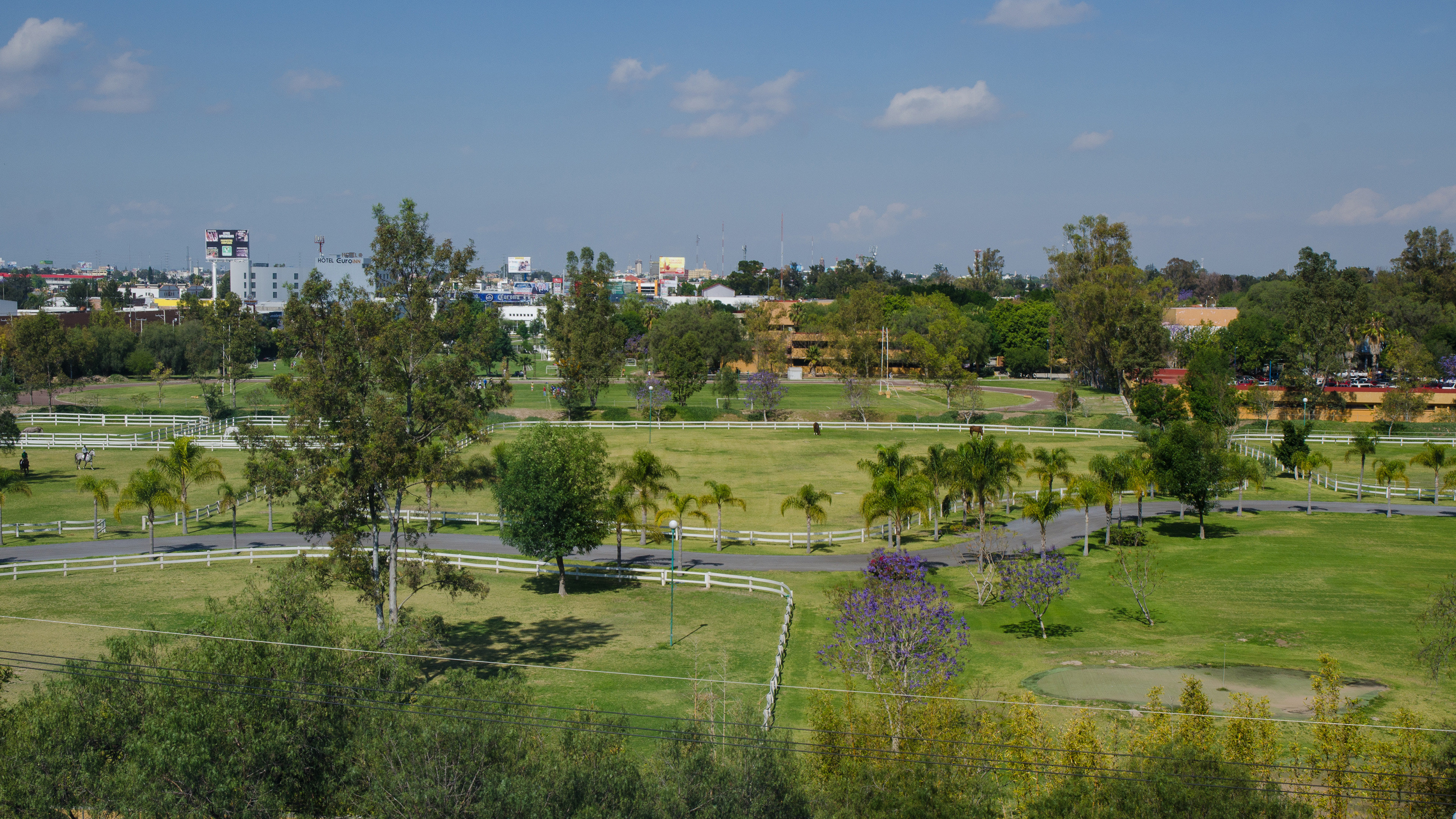 Holiday Inn Express and Suites Celaya 42/50