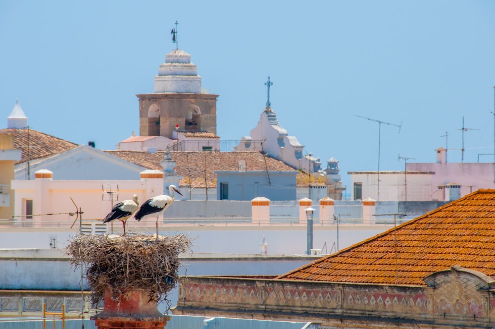 Hotel Cidade de Olhao 3/48