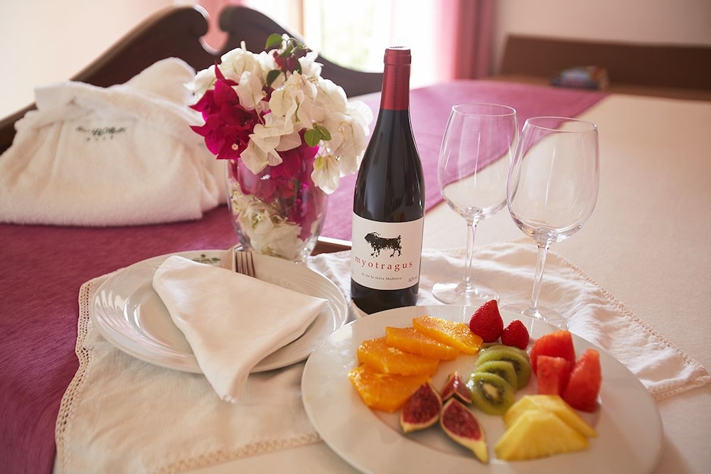 Hotel Son Trobat Wellness Spa 54/66