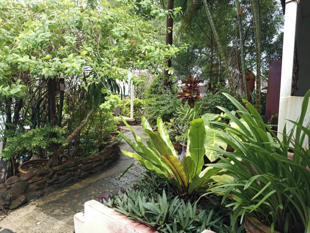 Faye Orchid Resort 34/50