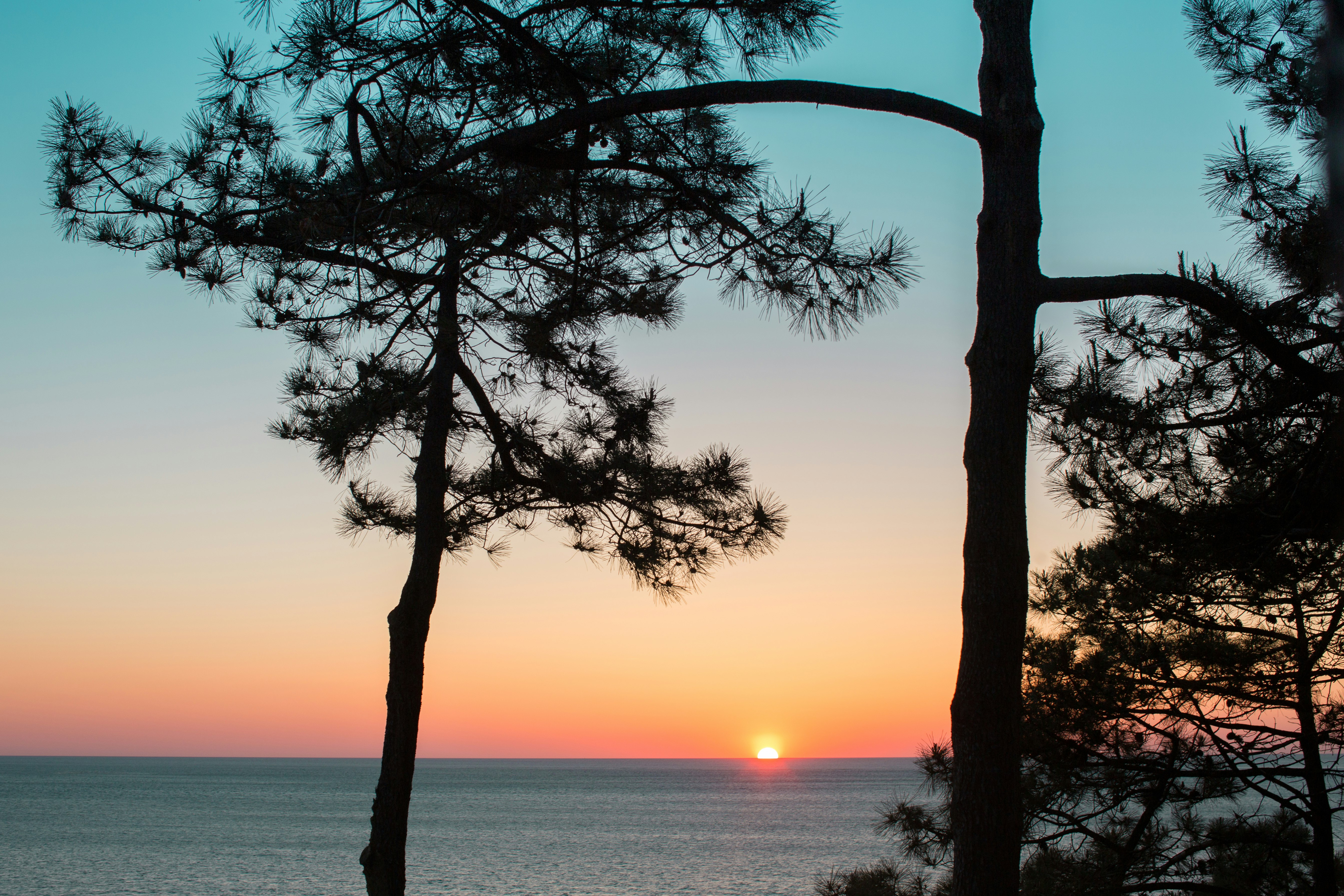 Hotel La Co(o)rniche 50/64