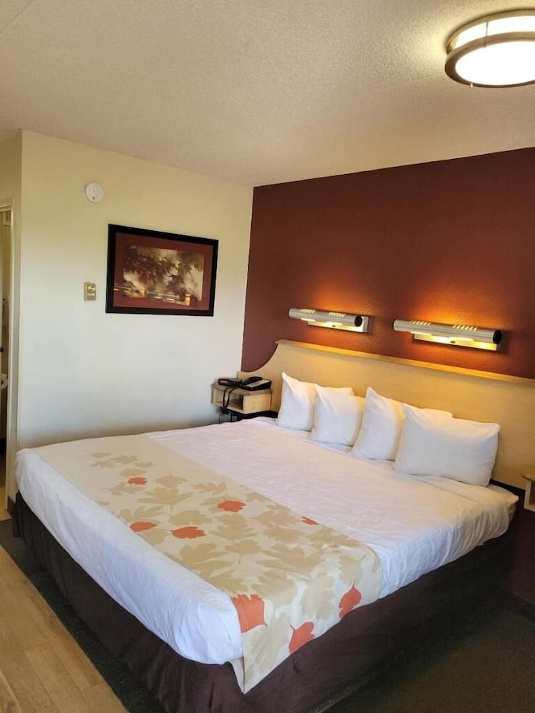 Red Oak Inn Detroit - Southfield 12/36
