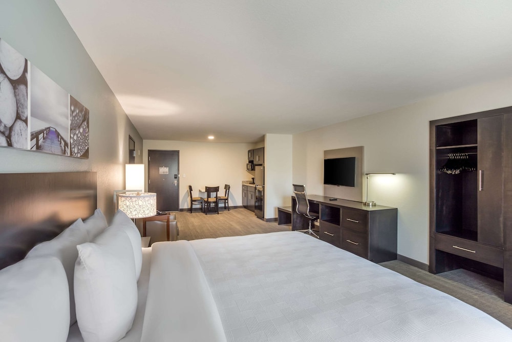 Suite, King Bed, Accessible