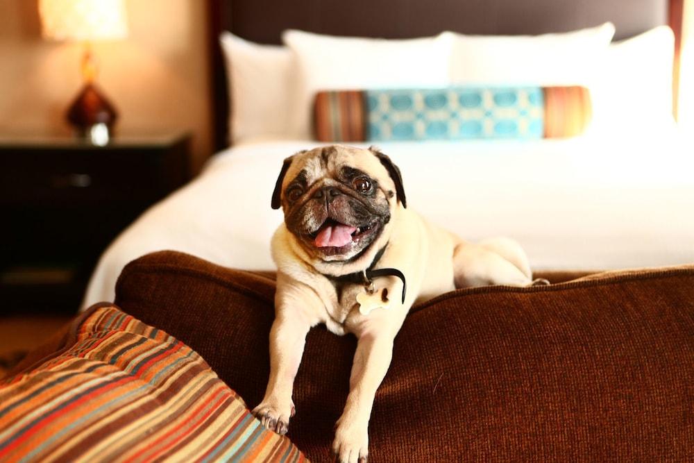 Staybridge Suites Chicago Glenview 22/58