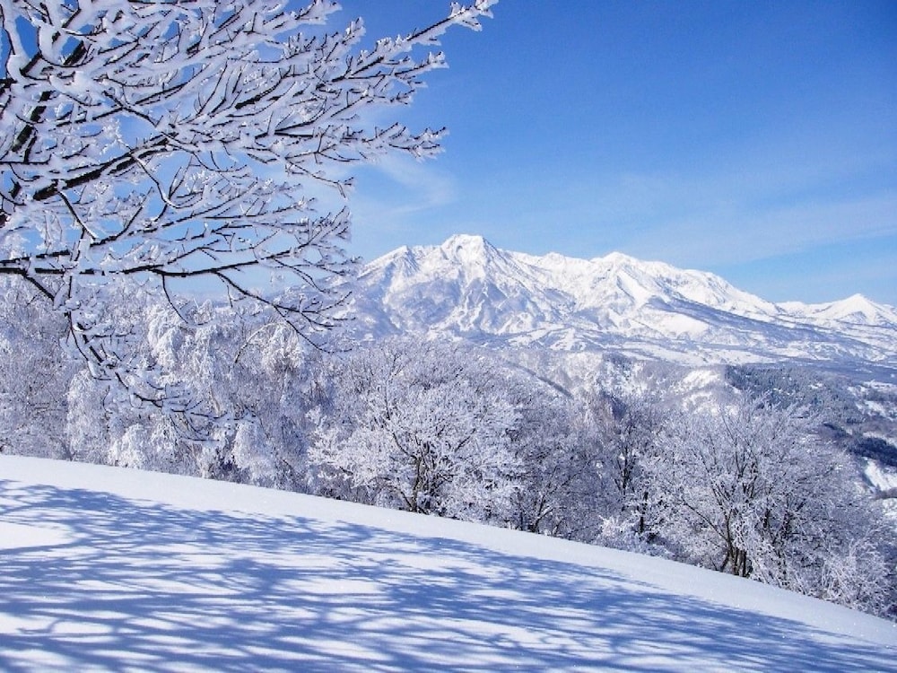 Madarao Elm Pension 48/50