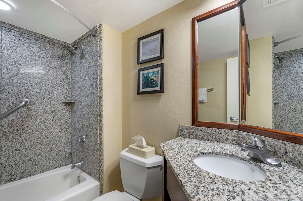 Comfort Inn & Suites St. Pete - Clearwater International Airport 5/41