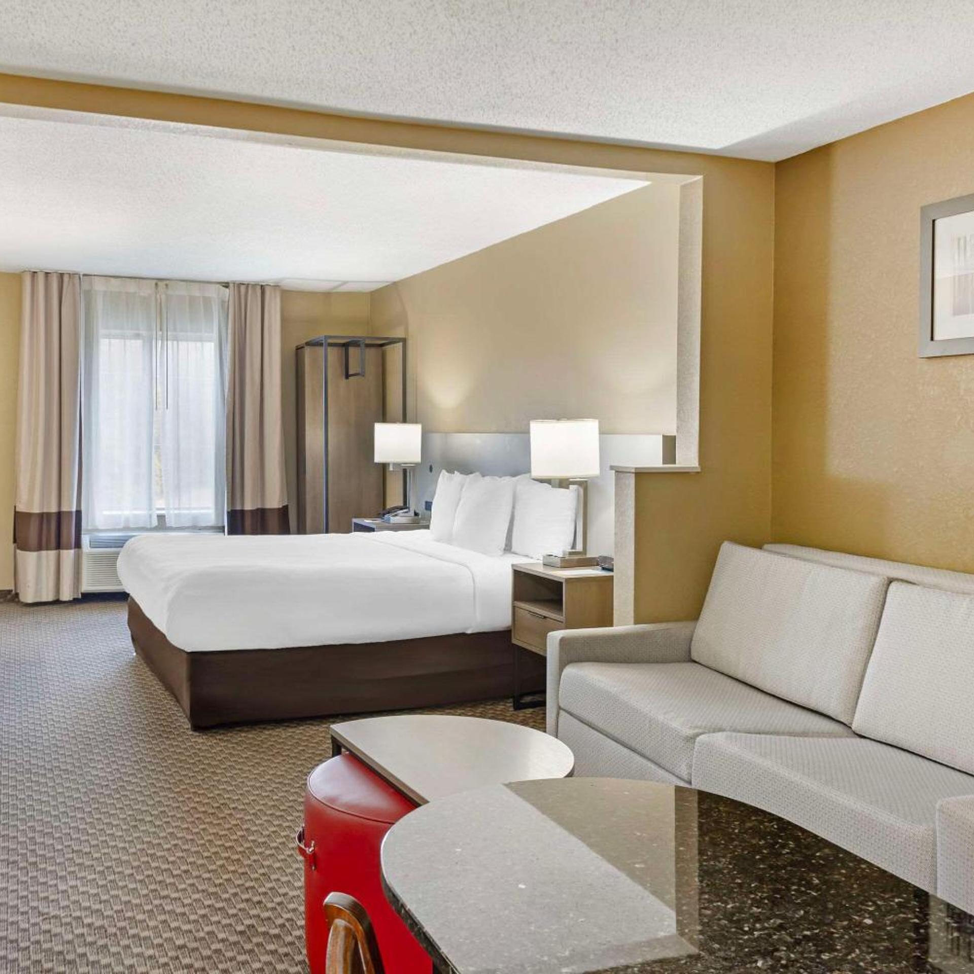 Efficiency, Suite, King Bed, Sofa