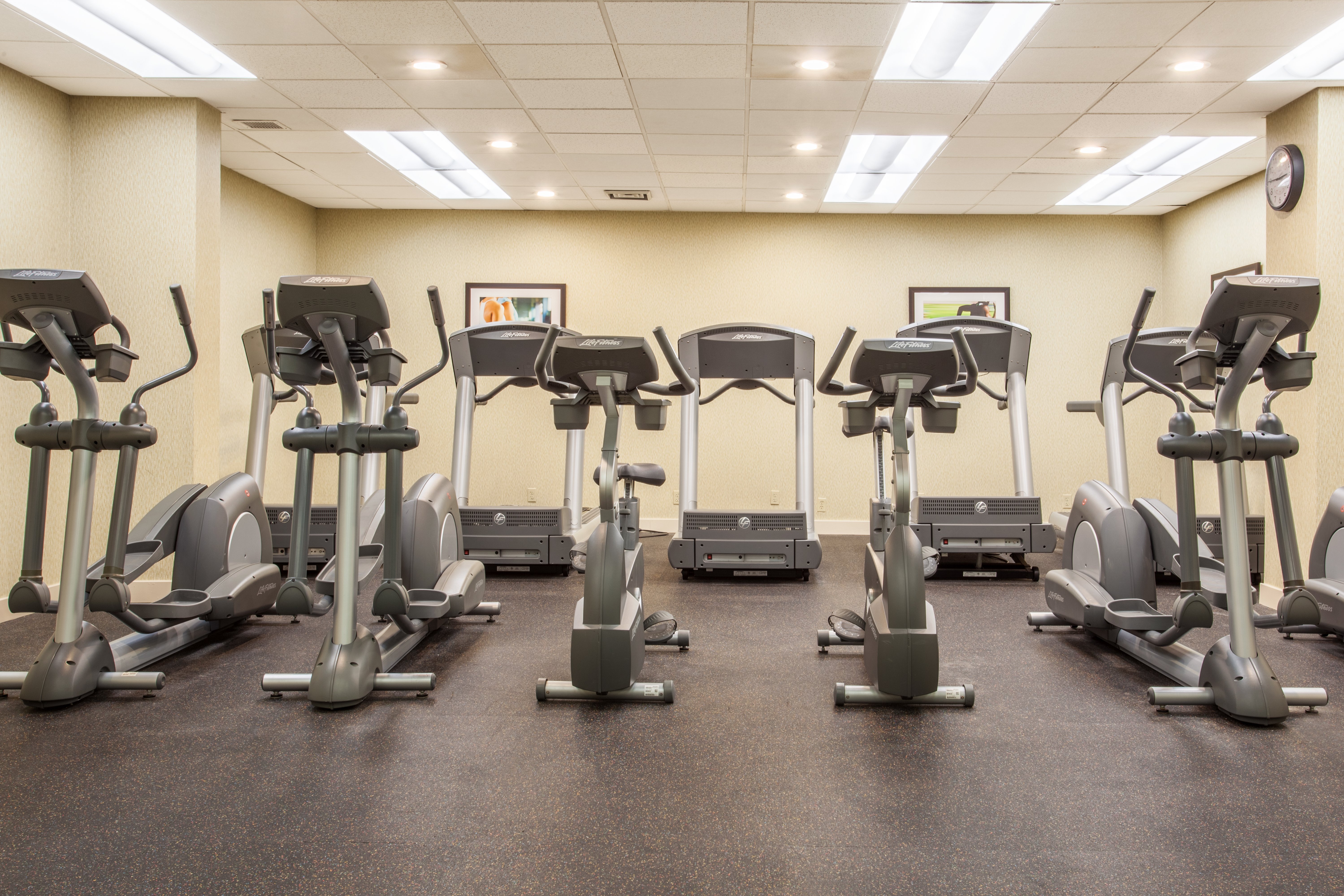 Holiday Inn Toronto International Airport Hotel 25/58