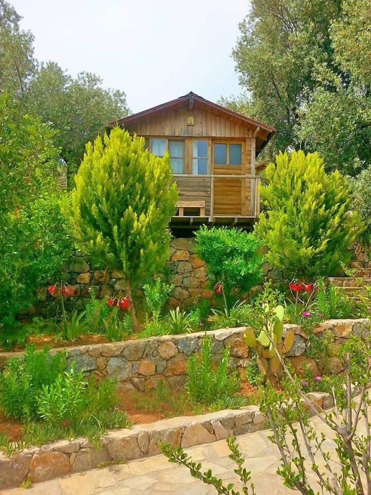 Olive Garden Kabak 37/50