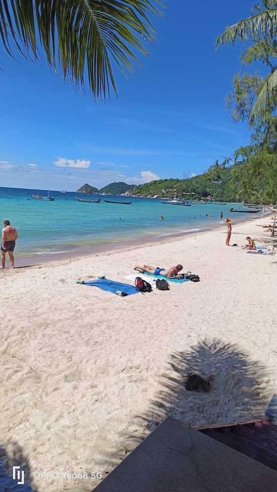Seashell Resort 38/50