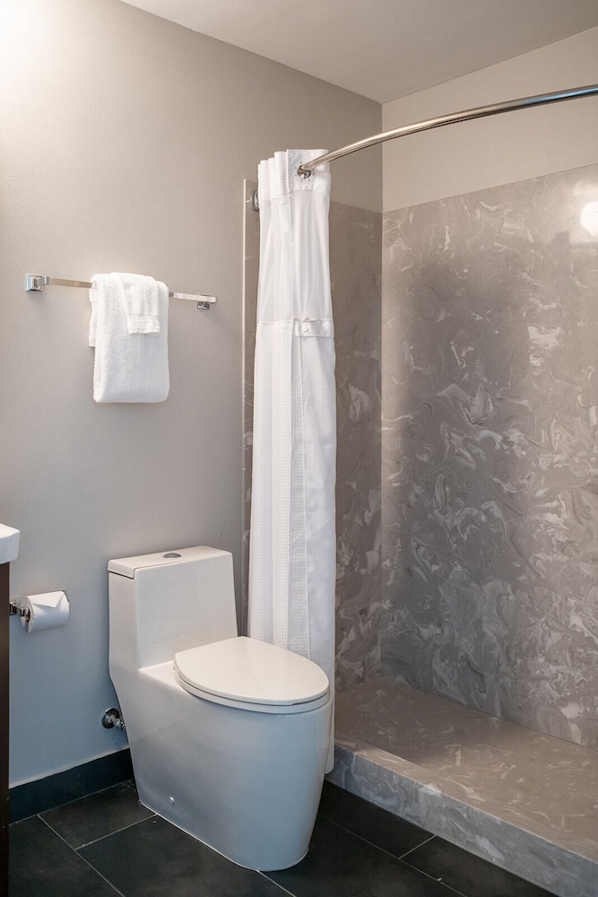 French Quarter Suites Hotel 55/55