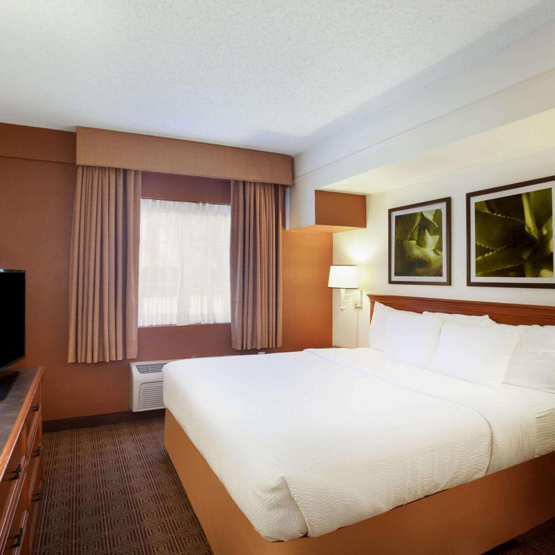 Suite, King Bed