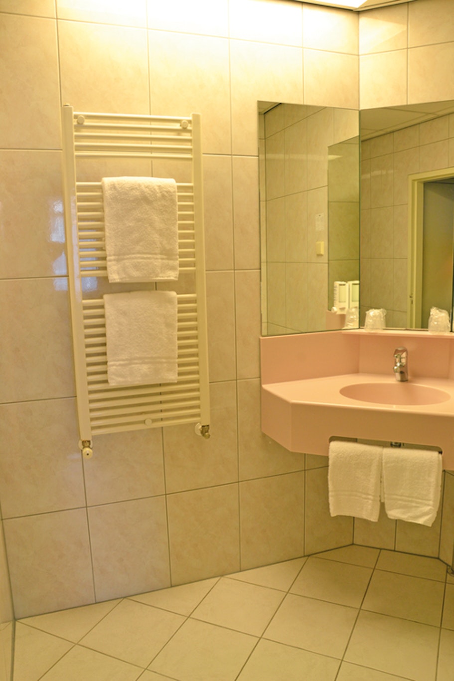 Fletcher Hotel Restaurant De Zalm 47/47