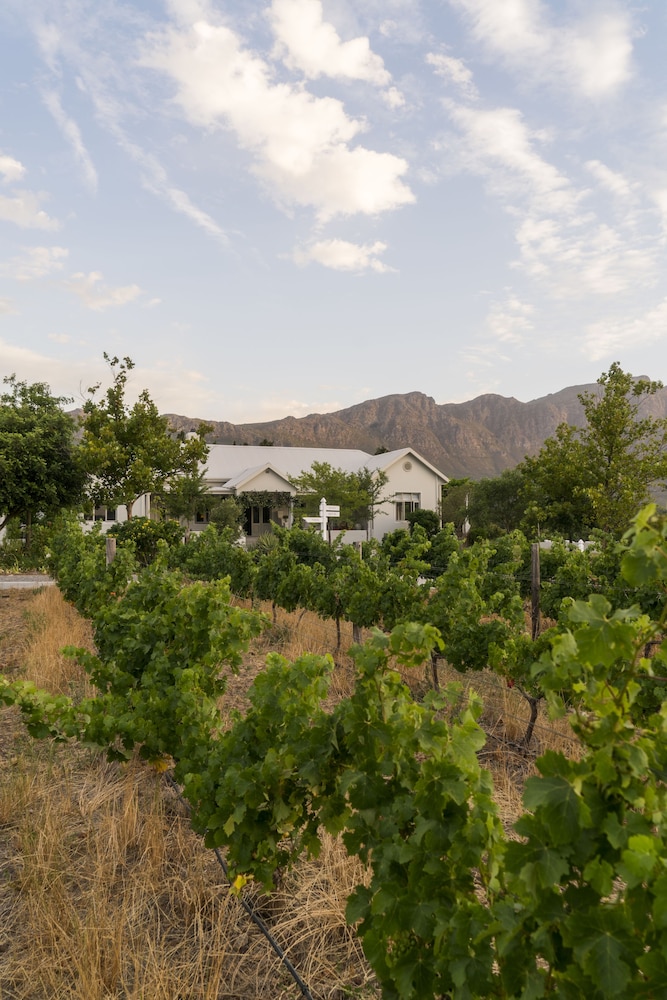 Cape Vue Country House 26/37