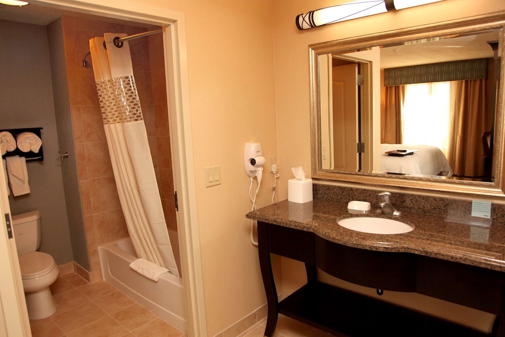 Hampton Inn And Suites Carlsbad Nm 14/37