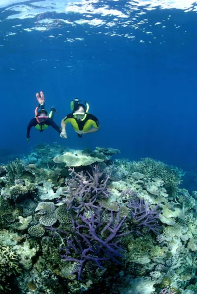 Nukubati Private Island Great Sea Reef - All Inclusive 56/62