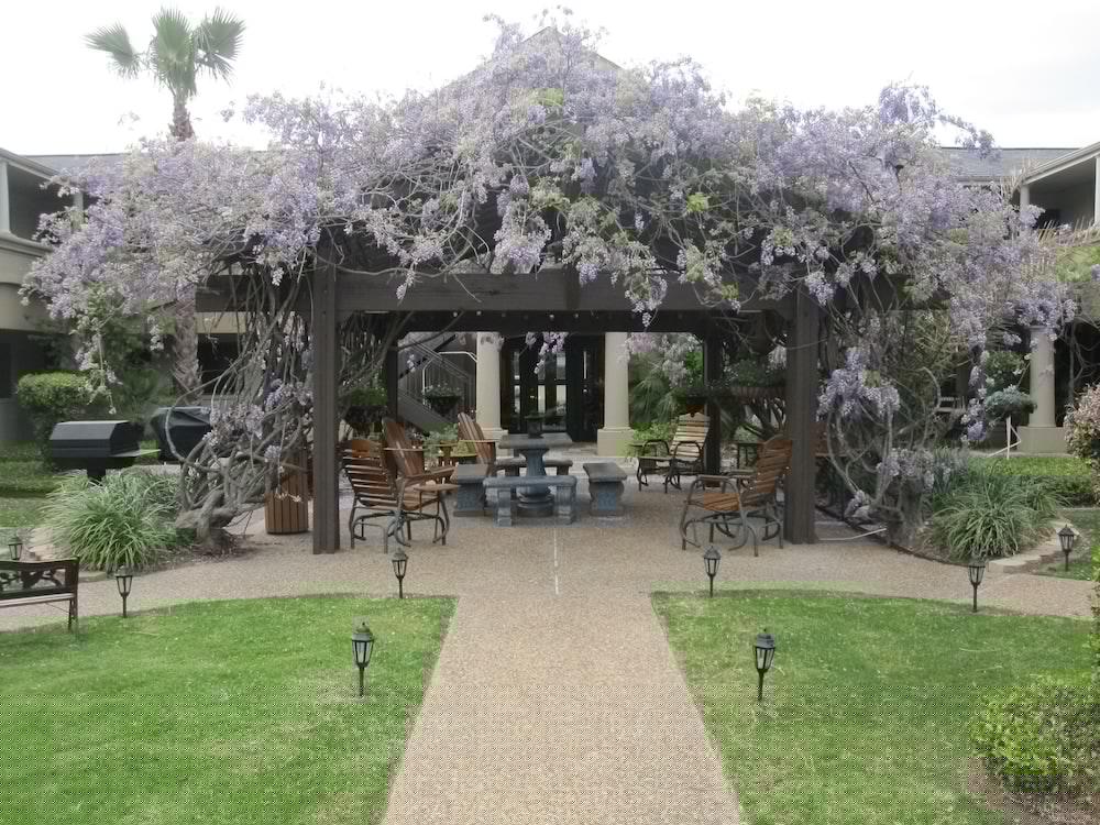Vineyard Court Designer Suites Hotel 1/56