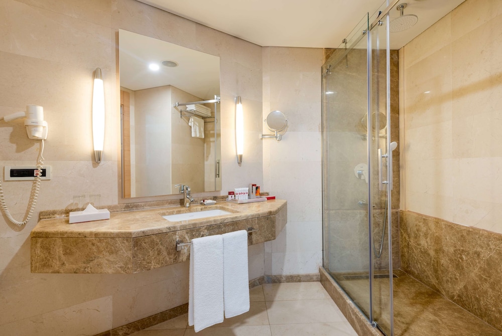 Ramada Plaza By Wyndham Istanbul City Center 29/66