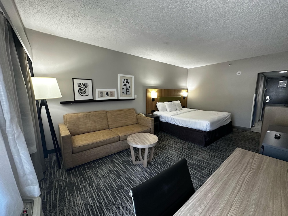 Studio, Suite, King Bed, Sofa