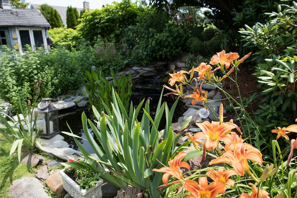 Gardenview Bed And Breakfast 38/43