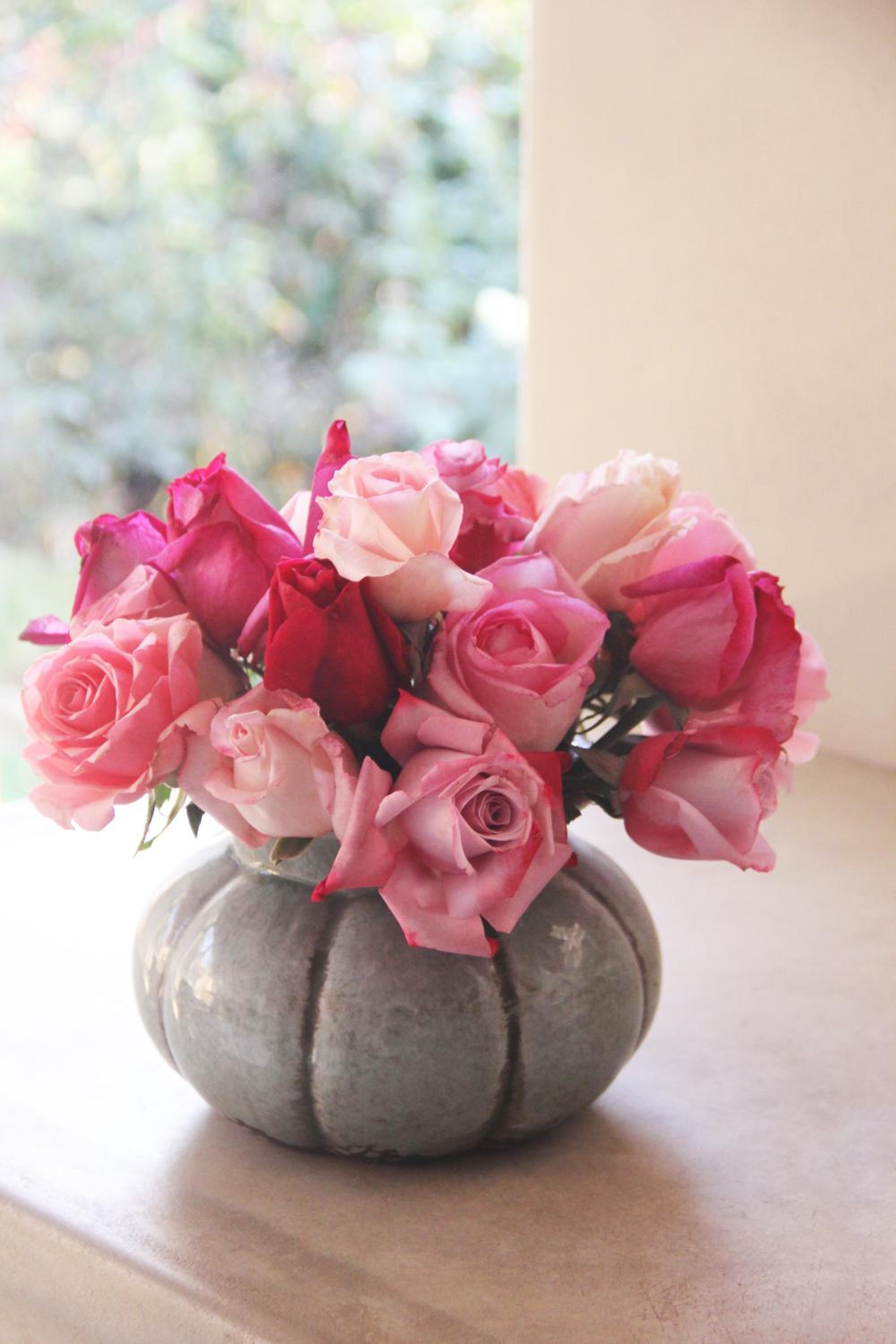 Bella Rosa Farm 10/23