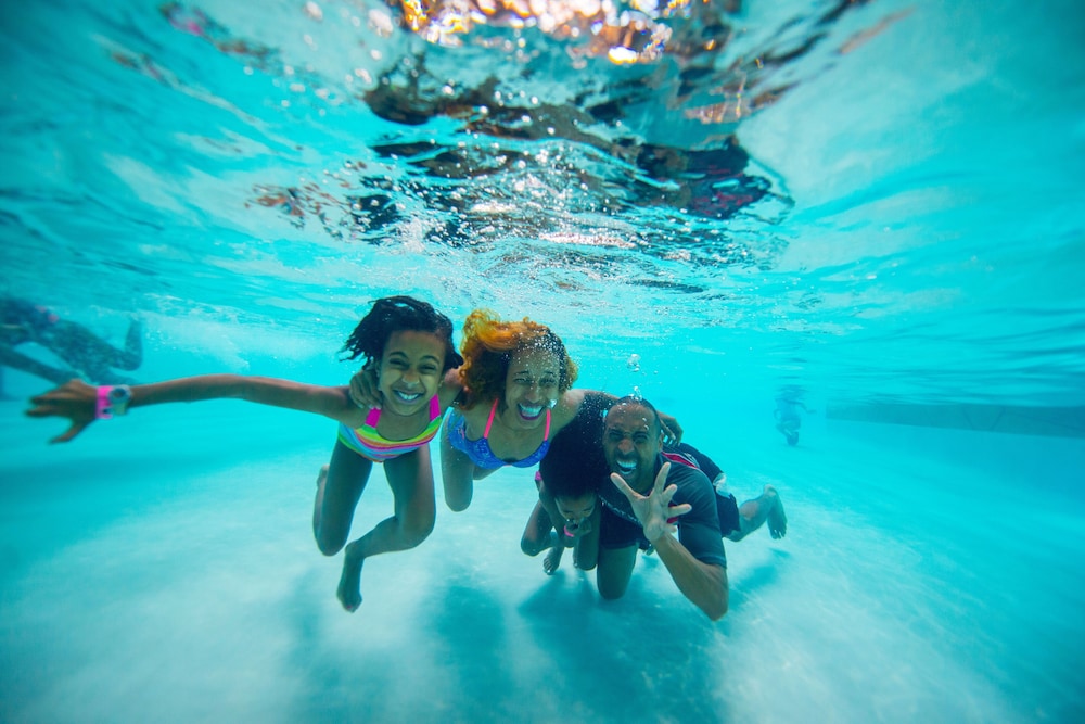 Great Wolf Lodge Manteca 29/49