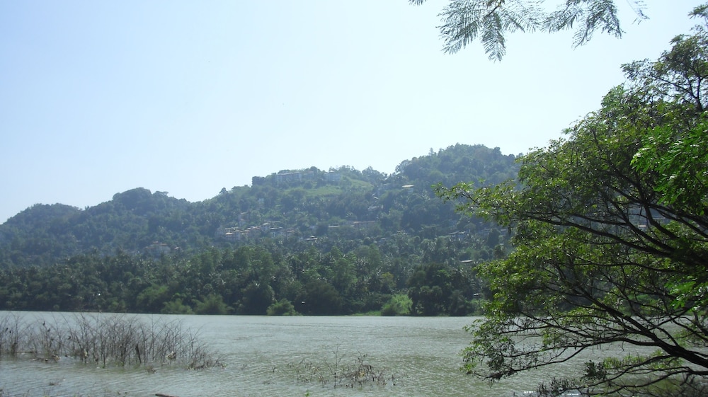 Riverside Homestay Apartments 25/27