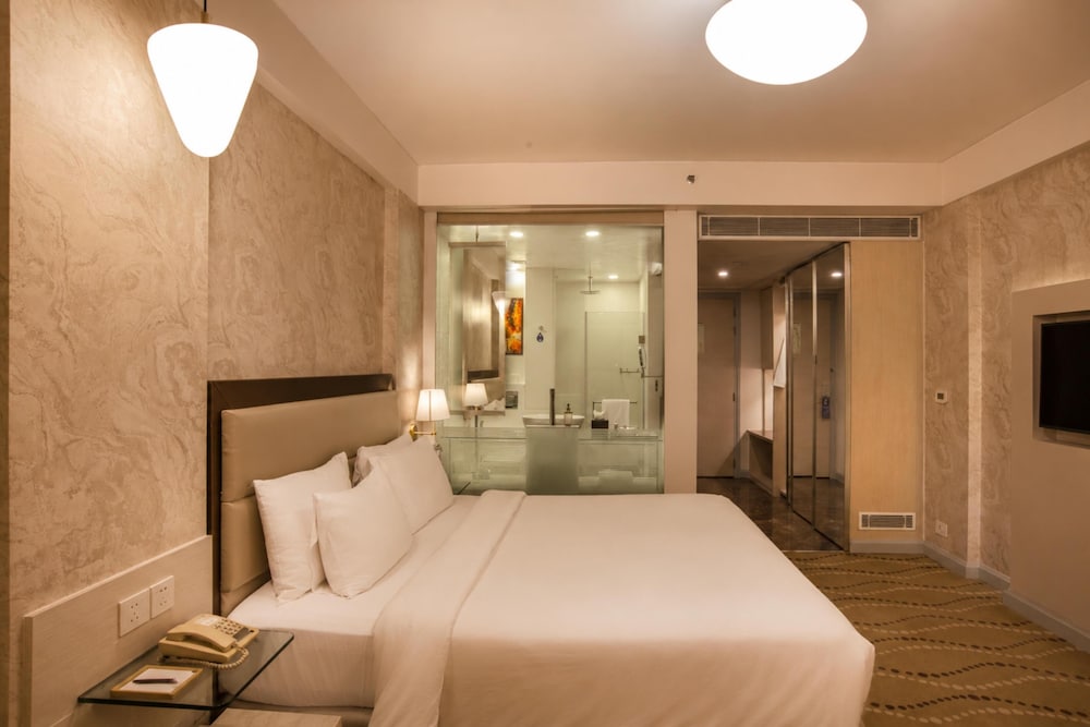 Radisson Blu Bengaluru Outer Ring Road (ex Park Plaza Bengaluru Hotel) 19/74