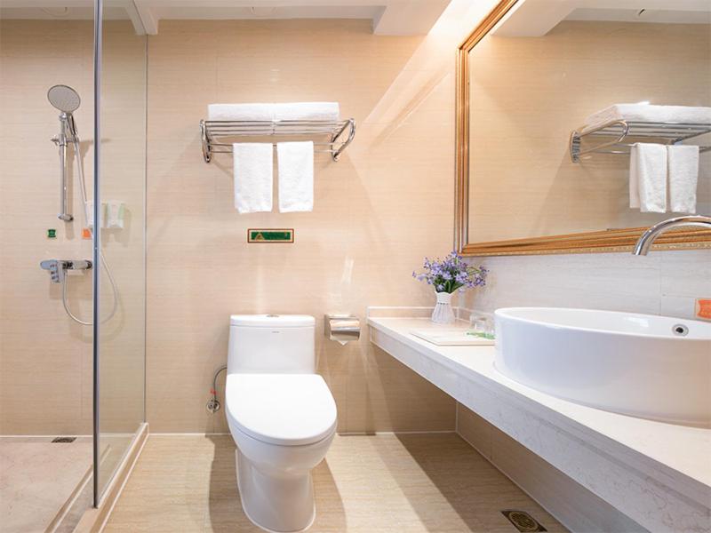 Vienna Hotel (Dayawan Xinliao) 18/18
