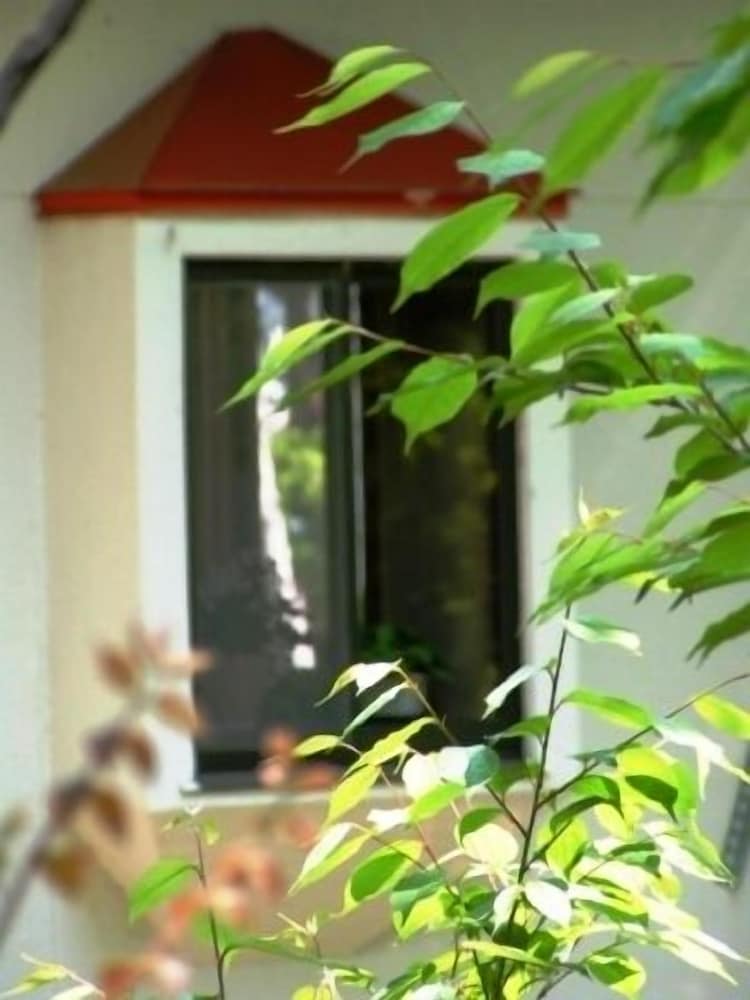 Madarao Elm Pension 10/50