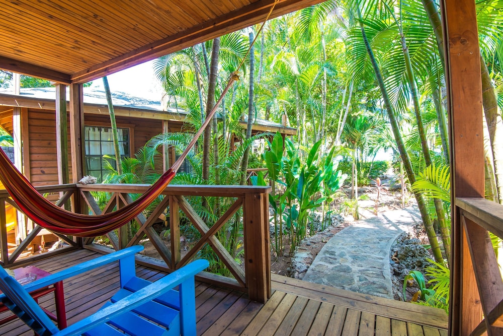 Las Rocas Resort And Dive Center 39/63
