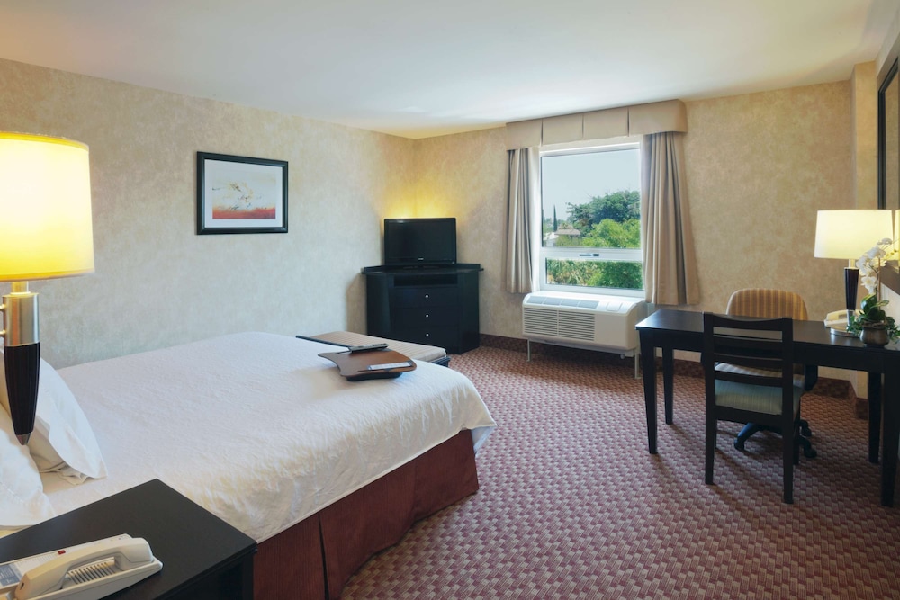 Hampton Inn By Hilton Ciudad Victoria 20/50
