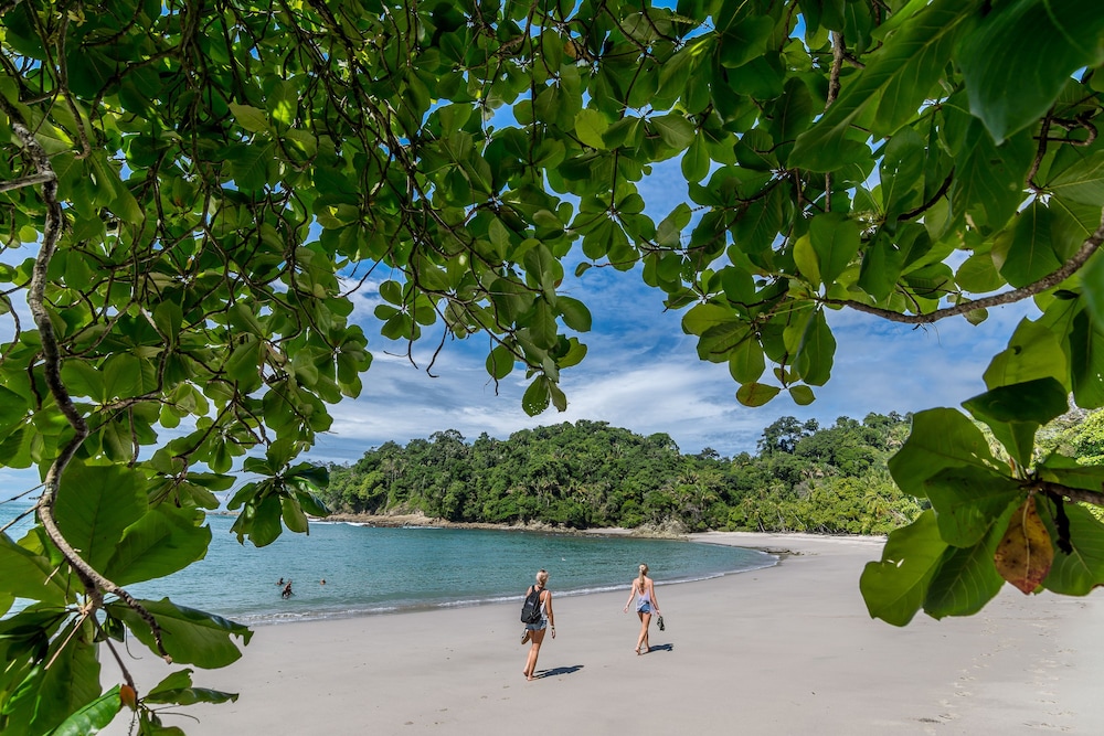Manuel Antonio 38/49