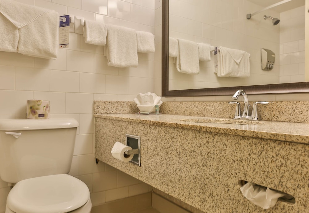 غرفة قياسية بسريرين مزدوجين يُسمح فيها بالحيوانات الأليفة، Best Western Brantford Hotel Conference Centre 5/5